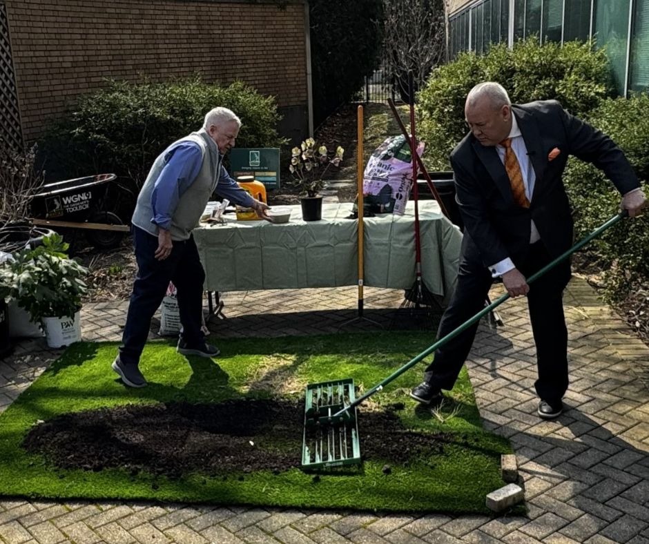 Bob Bertog demonstrating how to level a bumpy lawn during his Gardener's Toolbox segment on WGN Midday News.