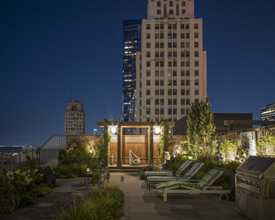Case study: Skyline Sanctuary — Bertog Landscape
