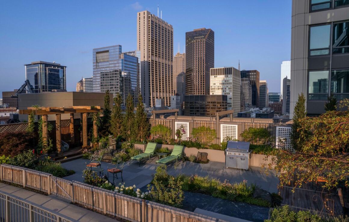 Case study: Skyline Sanctuary — Bertog Landscape
