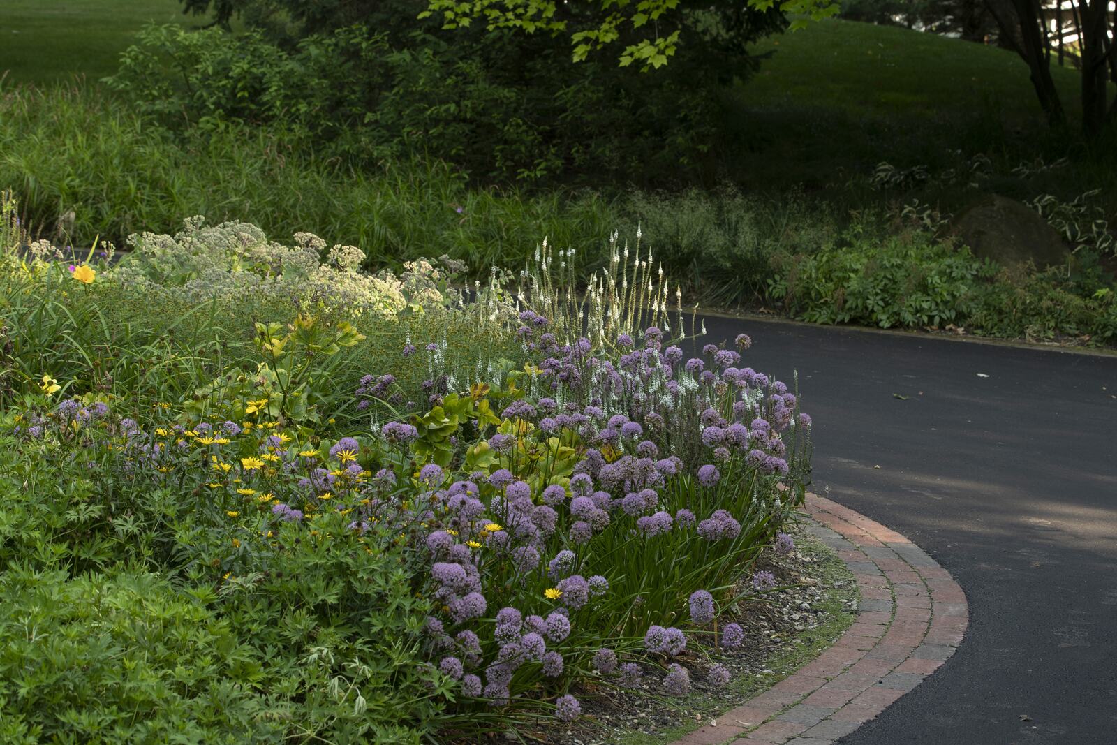 Case study: Rooted in Comfort — Bertog Landscape