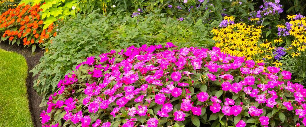About Bertog Landscape | North Shore Landscaping Since 1974