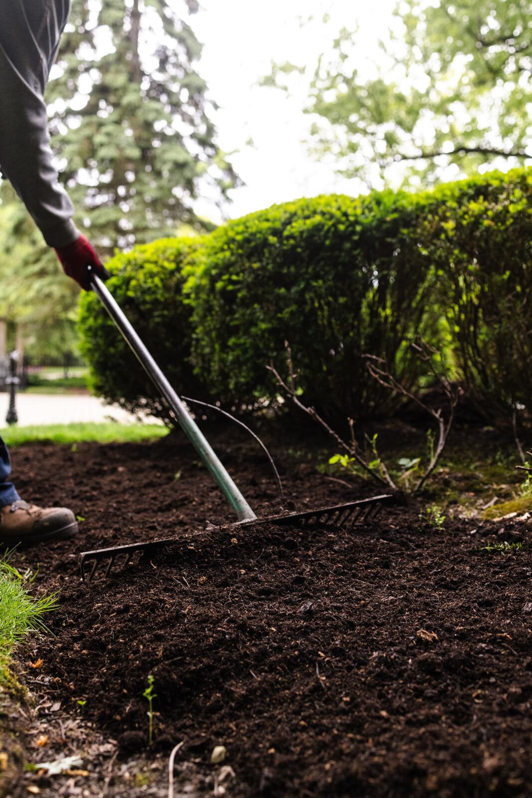 Mulch installation in landscape beds — Bertog Landscape, Chicago's North Shore
