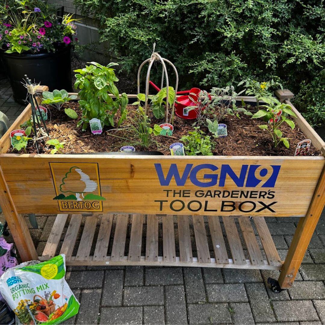 Raised cedar planter of herbs and vegetables branded with the Bertog and WGN 9 The Gardener's Toolbox logos.