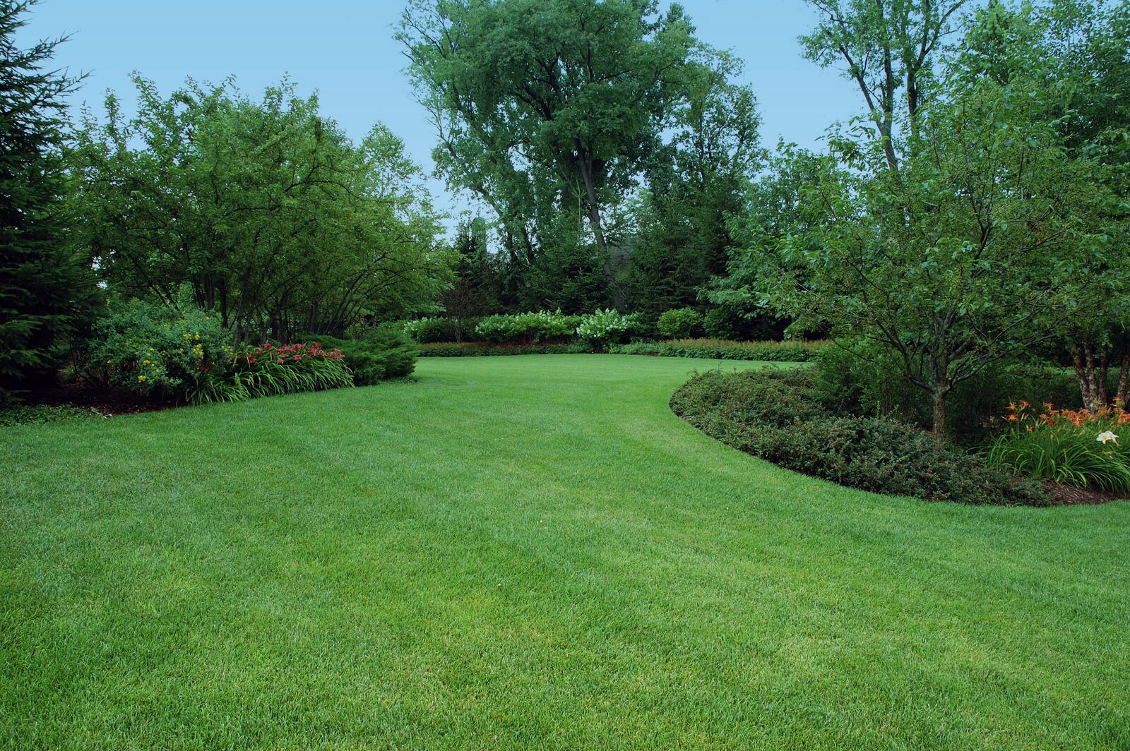 leaf removal services Wheeling IL