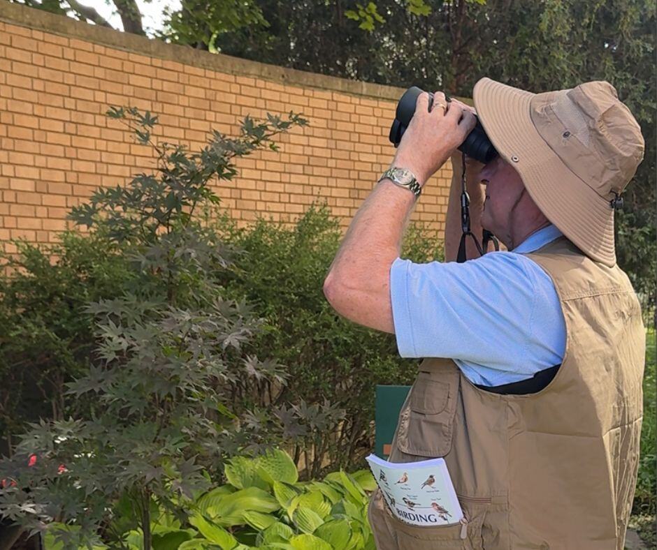 Bob Bertog in a sun hat looking through binoculars beside garden shrubs and a brick wall.